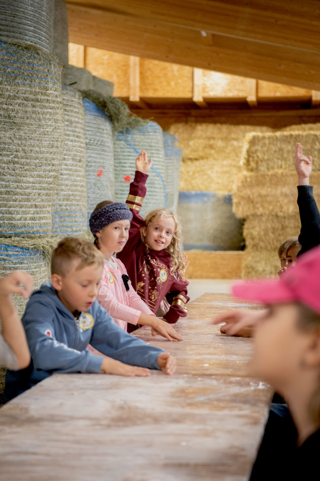 © Eva Lechner/LK Niederösterreich