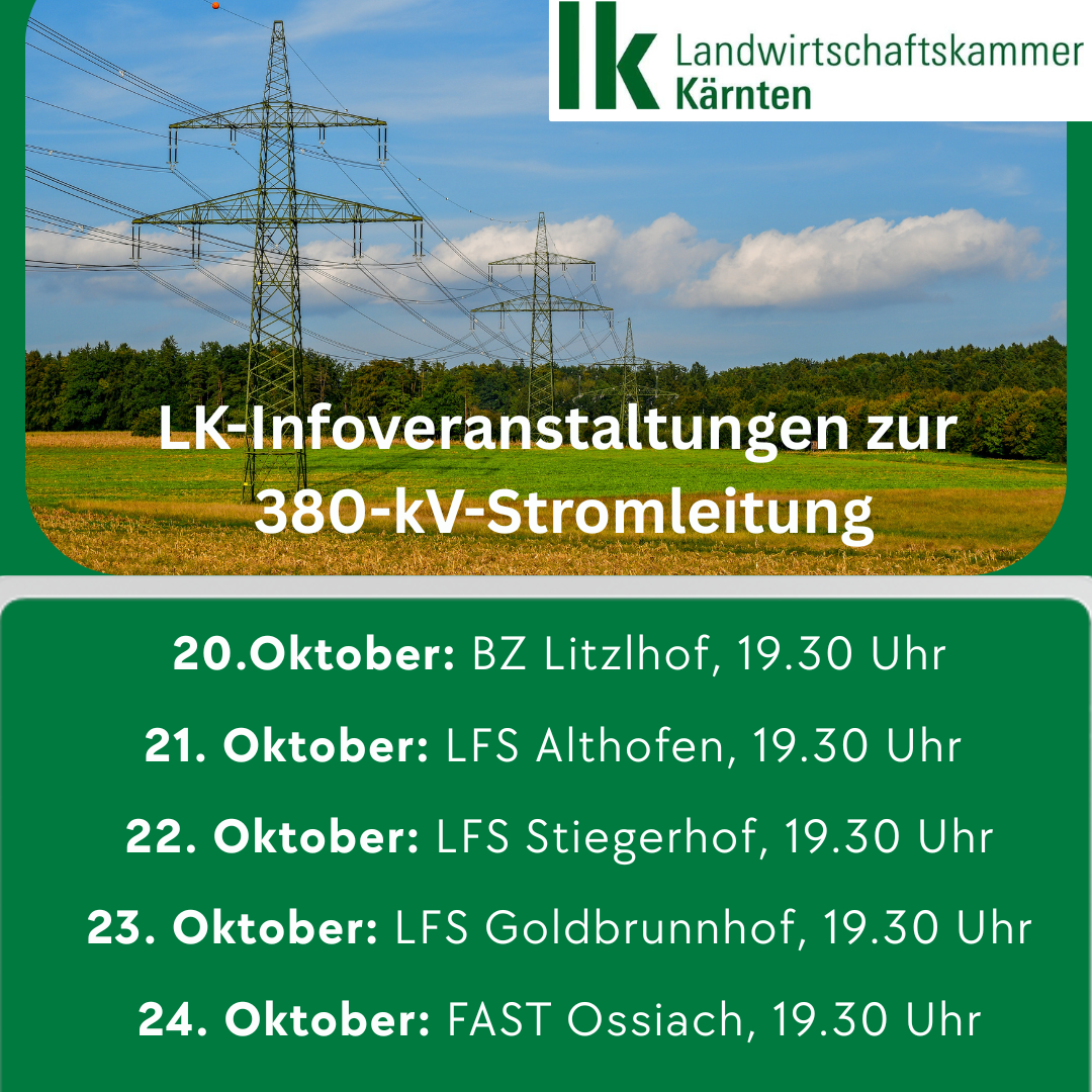 380-kV (2).png © canva