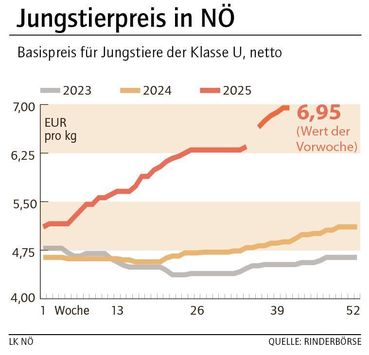 Grafik Stierpreis 42_2025.jpg © LK NÖ