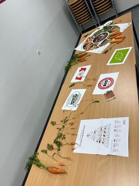 [1760519075594951.jpg]