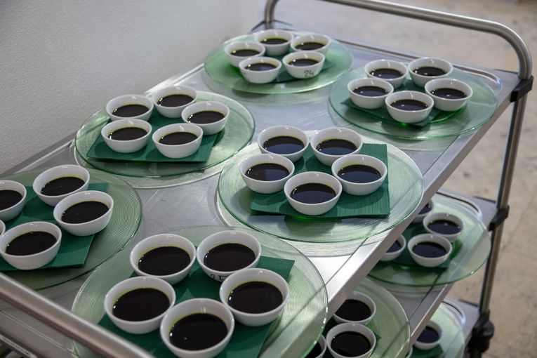 © LK Steiermark-Kristoferitsch