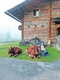 Mein Bild.jpg © Archiv