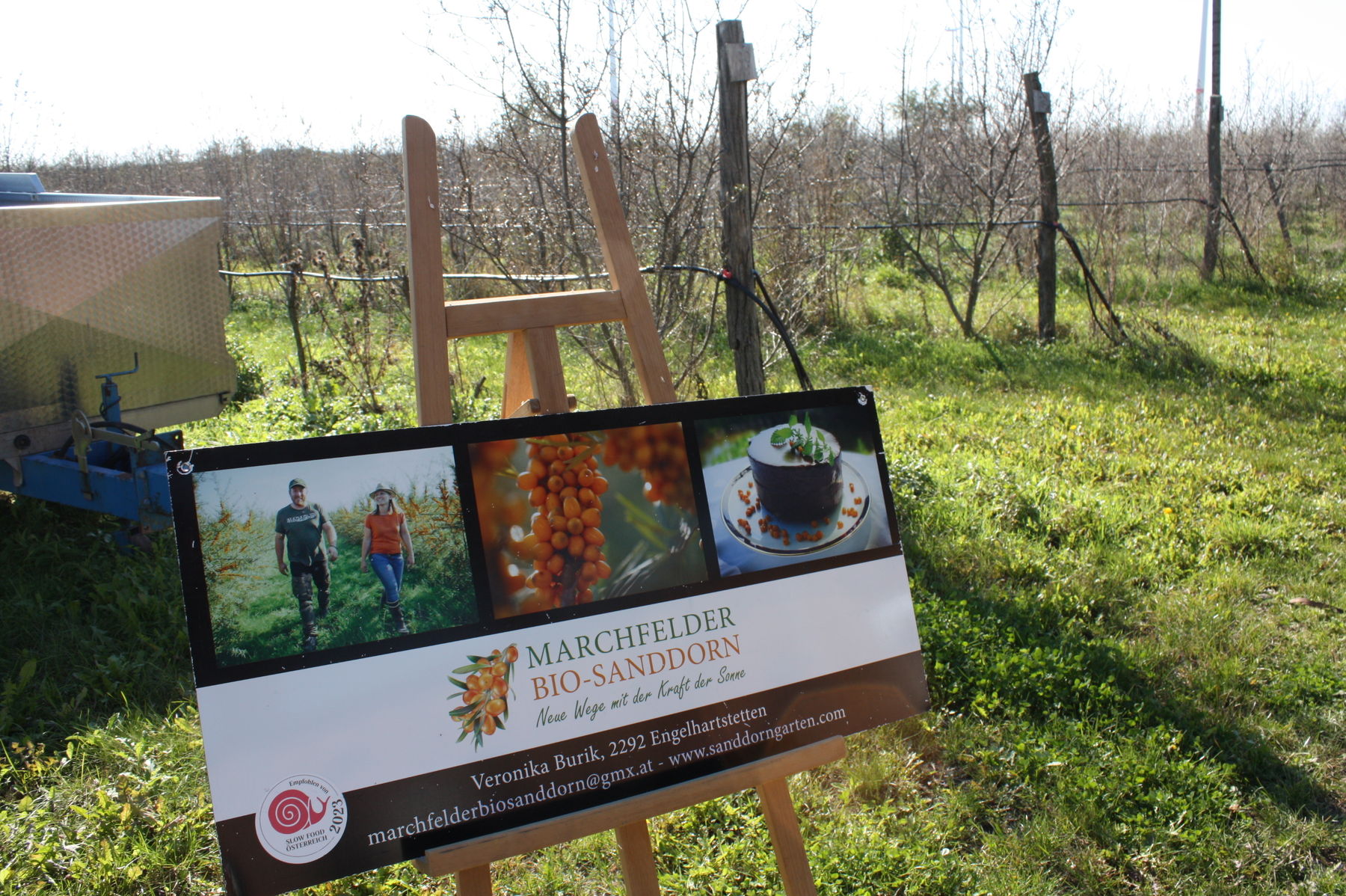 © Hauer-Bindreiter © Hauer-Bindreiter