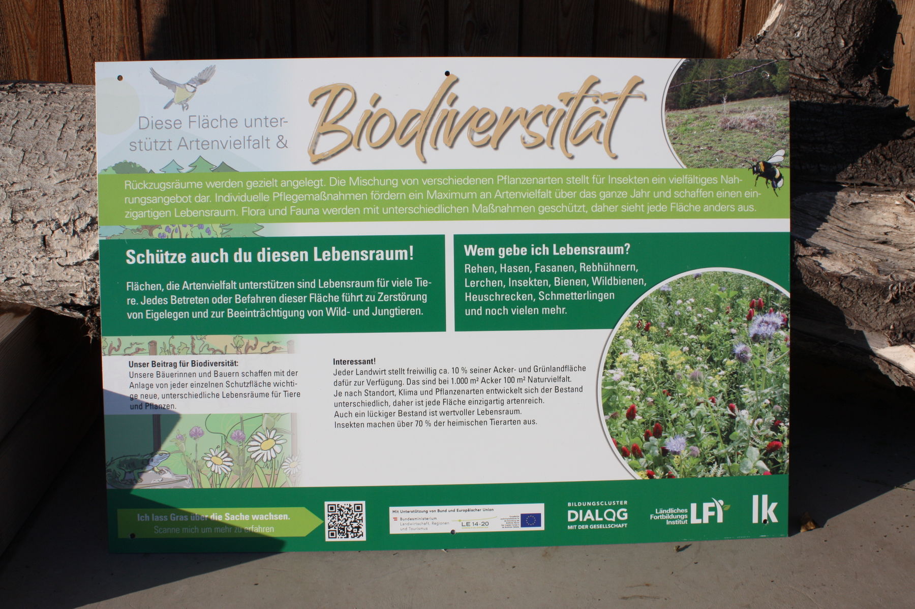 © Hauer-Bindreiter © Hauer-Bindreiter