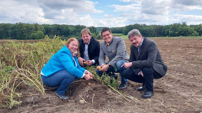 Foto_Erdäpfelernte 2025 © Michael Bachl/IGE Foto_Erdäpfelernte 2025 © Michael Bachl/IGE