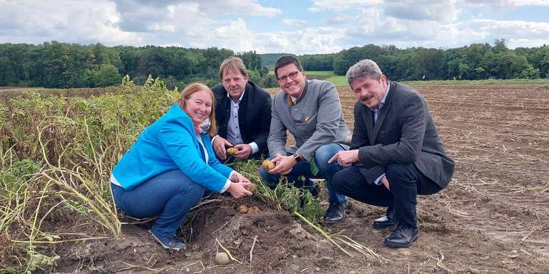 Foto_Erdäpfelernte 2025.jpg © Michael Bachl/IGE