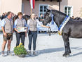Salzburgs Noriker-Elite präsentierte sich in Maishofen © Rossinger Salzburgs Noriker-Elite präsentierte sich in Maishofen © Rossinger