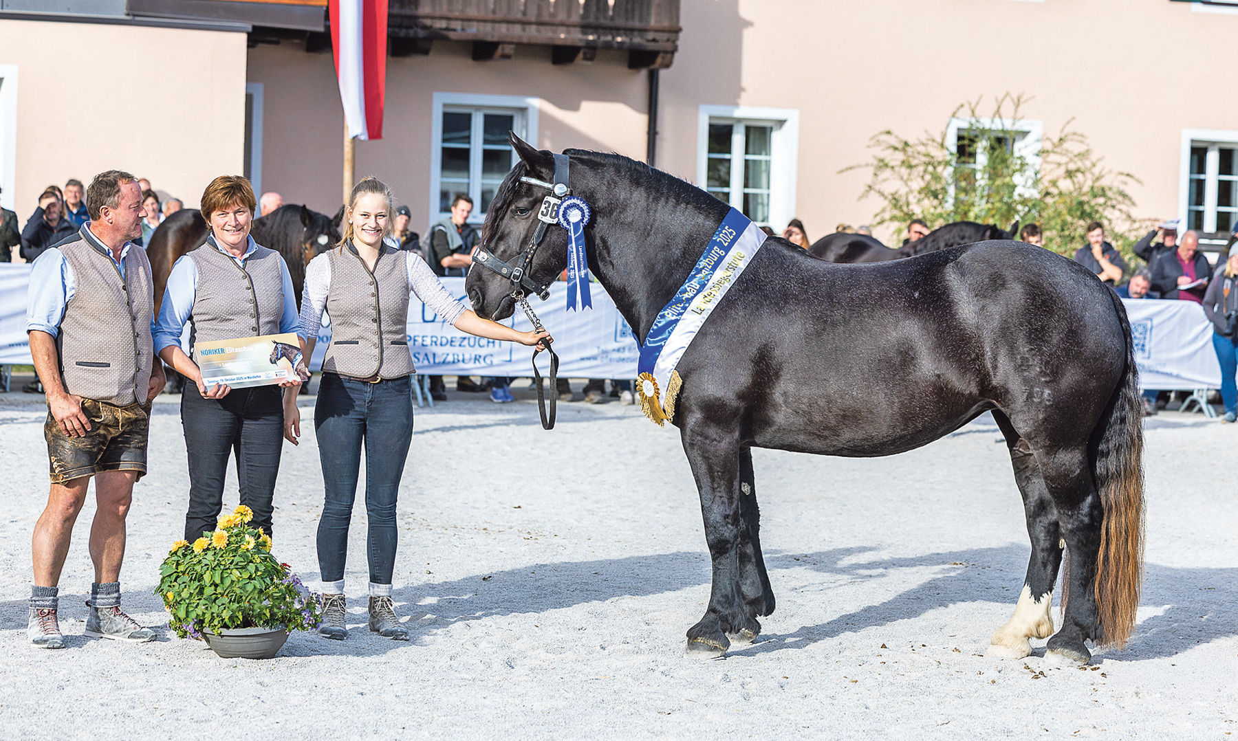 Salzburgs Noriker-Elite präsentierte sich in Maishofen.jpg © Rossinger