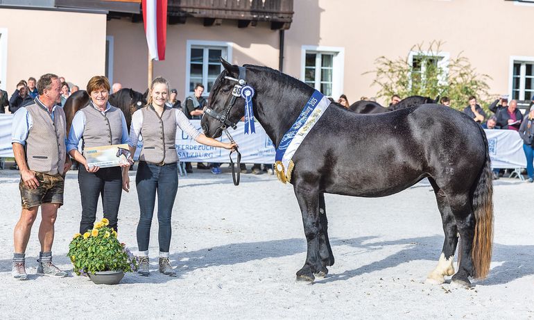 Salzburgs Noriker-Elite präsentierte sich in Maishofen.jpg © Rossinger