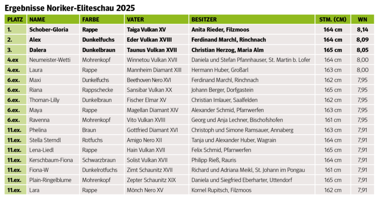 Salzburgs Noriker-Elite präsentierte sich in Maishofen.png © Rossinger