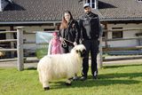 Großes Angebot trifft auf reges Kaufinteresse.jpg © SZV