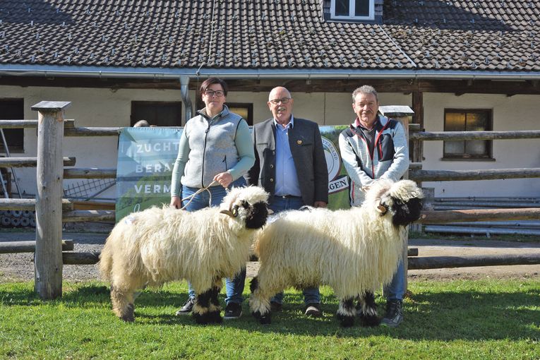 Großes Angebot trifft auf reges Kaufinteresse.jpg © SZV