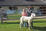Großes Angebot trifft auf reges Kaufinteresse.jpg © SZV