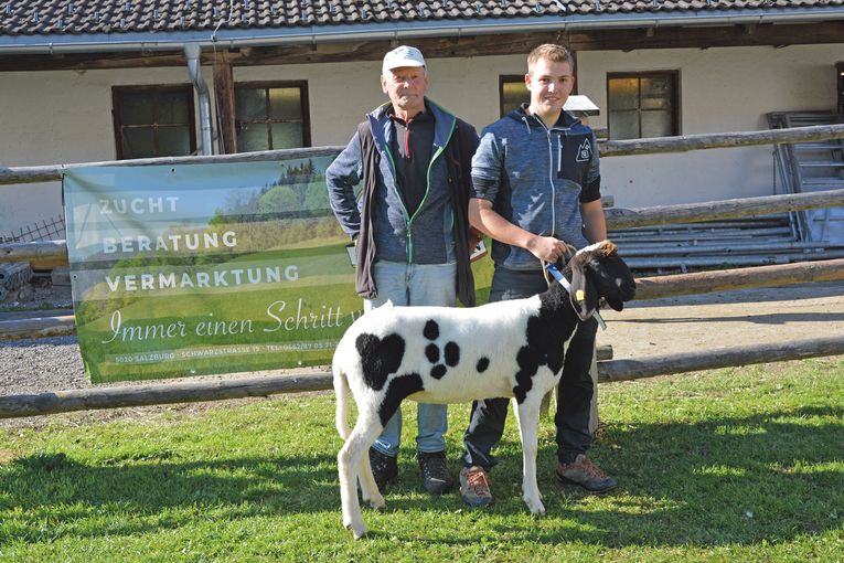 Großes Angebot trifft auf reges Kaufinteresse.jpg © SZV