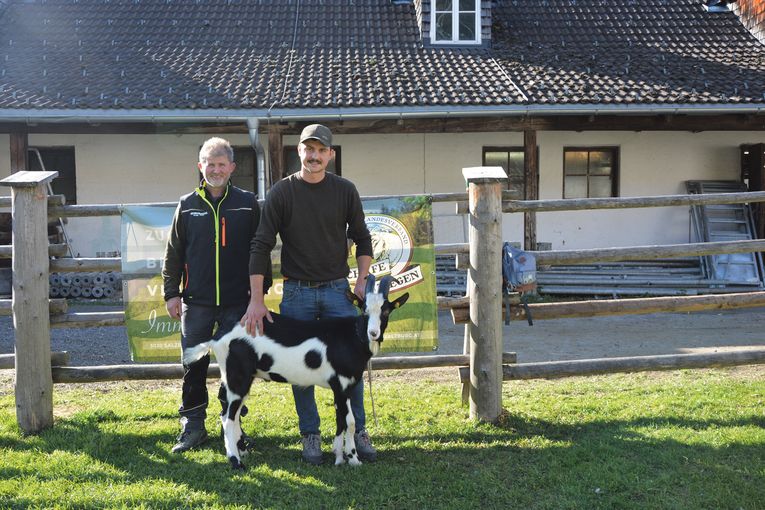 Großes Angebot trifft auf reges Kaufinteresse.jpg © SZV