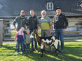 Großes Angebot trifft auf reges Kaufinteresse © SZV Großes Angebot trifft auf reges Kaufinteresse © SZV