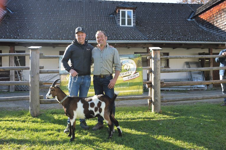 Großes Angebot trifft auf reges Kaufinteresse.jpg © SZV Großes Angebot trifft auf reges Kaufinteresse.jpg © SZV