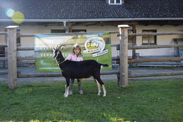 Großes Angebot trifft auf reges Kaufinteresse.jpg © SZV