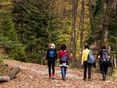 Waldspaziergang_AdobeStock_57799522 © stock.adobe.com Waldspaziergang_AdobeStock_57799522 © stock.adobe.com