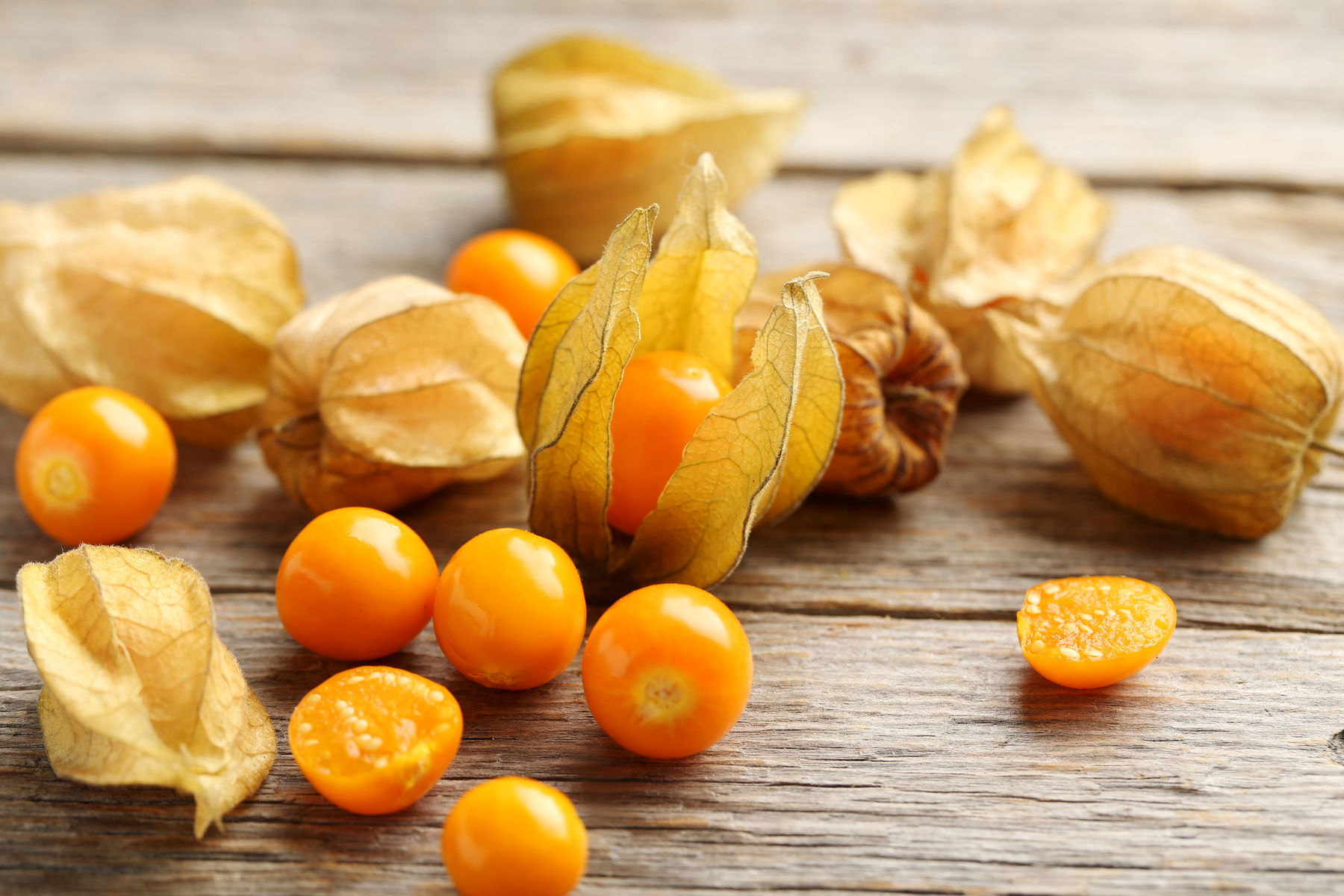 sb43_mt_frucht.jpg © Dürnberger