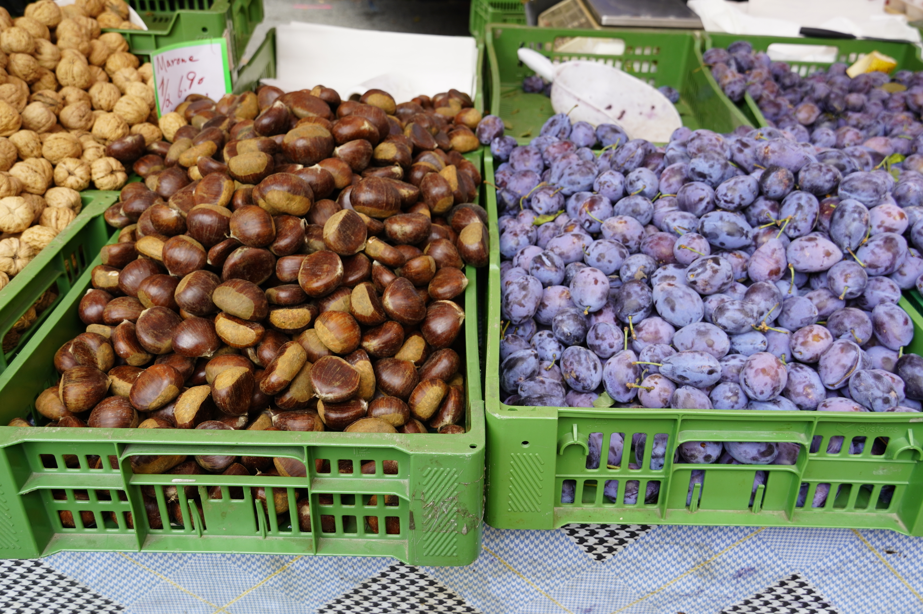 _DSC1814 © Dürnberger