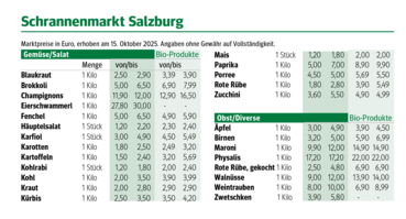 Bildschirmfoto 2025-10-22 um 11.18.48.png © Archiv