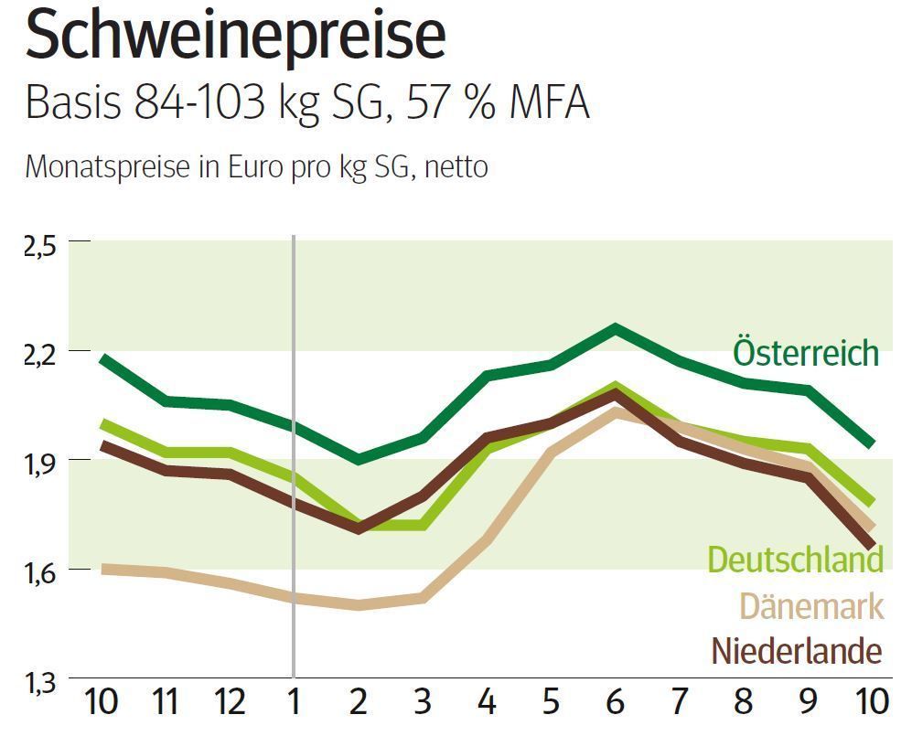 NÖ: Ausblick auf den Schweinemarkt im November © LK NÖ NÖ: Ausblick auf den Schweinemarkt im November © LK NÖ
