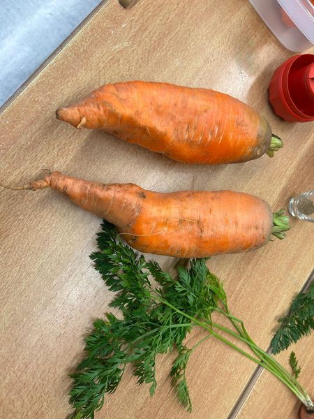 WhatsApp Image 2025-10-23 at 10.28.51(1).jpg WhatsApp Image 2025-10-23 at 10.28.51(1).jpg