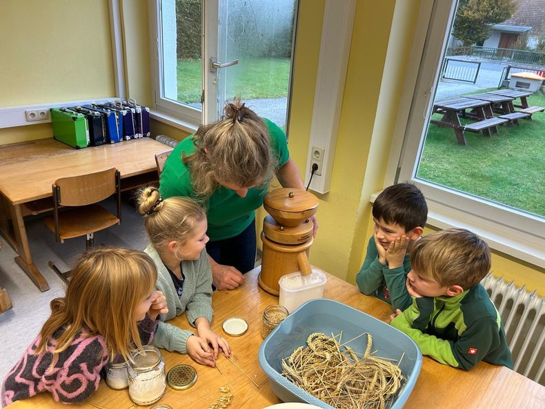 WhatsApp Image 2025-10-23 at 10.41.59(1).jpg WhatsApp Image 2025-10-23 at 10.41.59(1).jpg