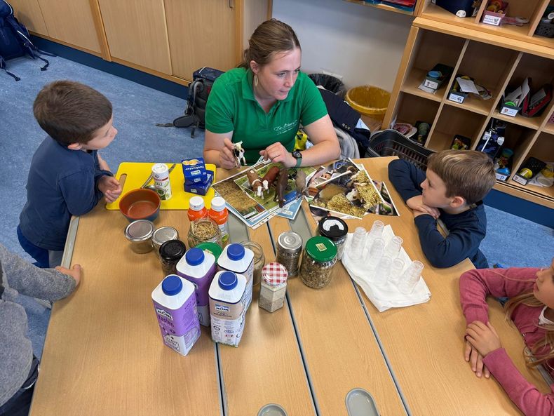 Schulaktionstage in der VS Gr. Siegharts © Die Bäuerinnen im Gebiet Raabs/Thaya Schulaktionstage in der VS Gr. Siegharts © Die Bäuerinnen im Gebiet Raabs/Thaya