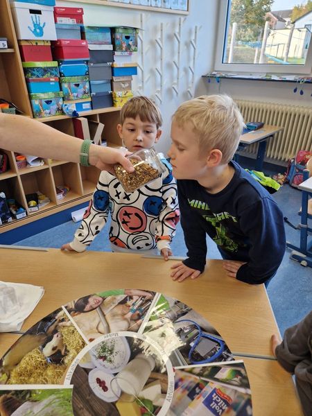 Schulaktionstage in der VS Gr. Siegharts © Die Bäuerinnen im Gebiet Raabs/Thaya Schulaktionstage in der VS Gr. Siegharts © Die Bäuerinnen im Gebiet Raabs/Thaya