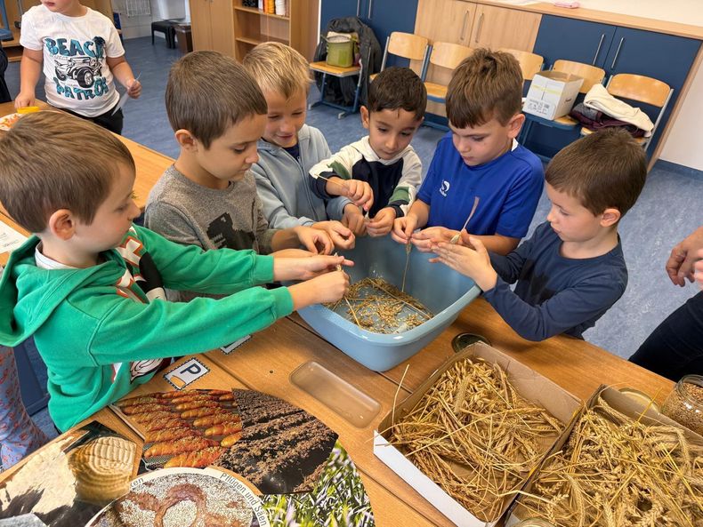 Schulaktionstage in der VS Gr. Siegharts ©&nbsp;Die Bäuerinnen im Gebiet Raabs/Thaya