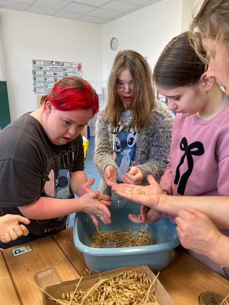 Schulaktionstage erstmals in der ASO Gr. Siegharts © Die Bäuerinnen im Gebiet Raabs Schulaktionstage erstmals in der ASO Gr. Siegharts © Die Bäuerinnen im Gebiet Raabs