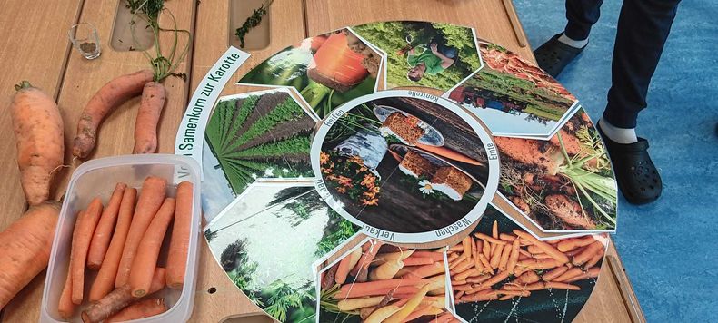 Schulaktionstage erstmals in der ASO Gr. Siegharts © Die Bäuerinnen im Gebiet Raabs Schulaktionstage erstmals in der ASO Gr. Siegharts © Die Bäuerinnen im Gebiet Raabs