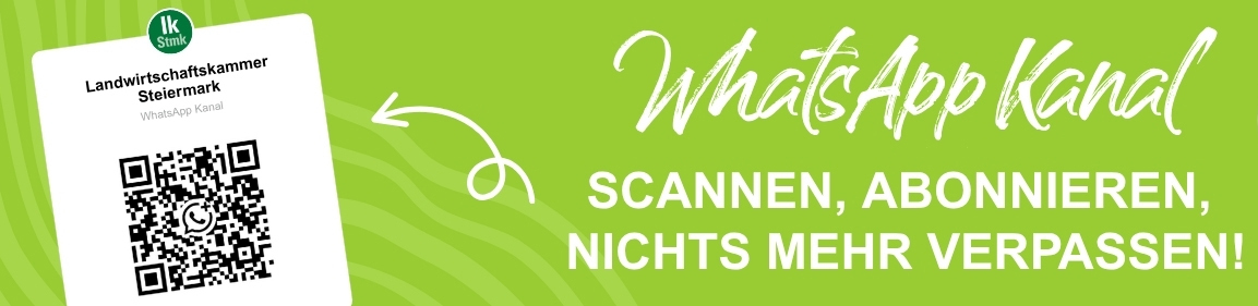 Button WhatsApp-Kanal LKstmk © Archiv