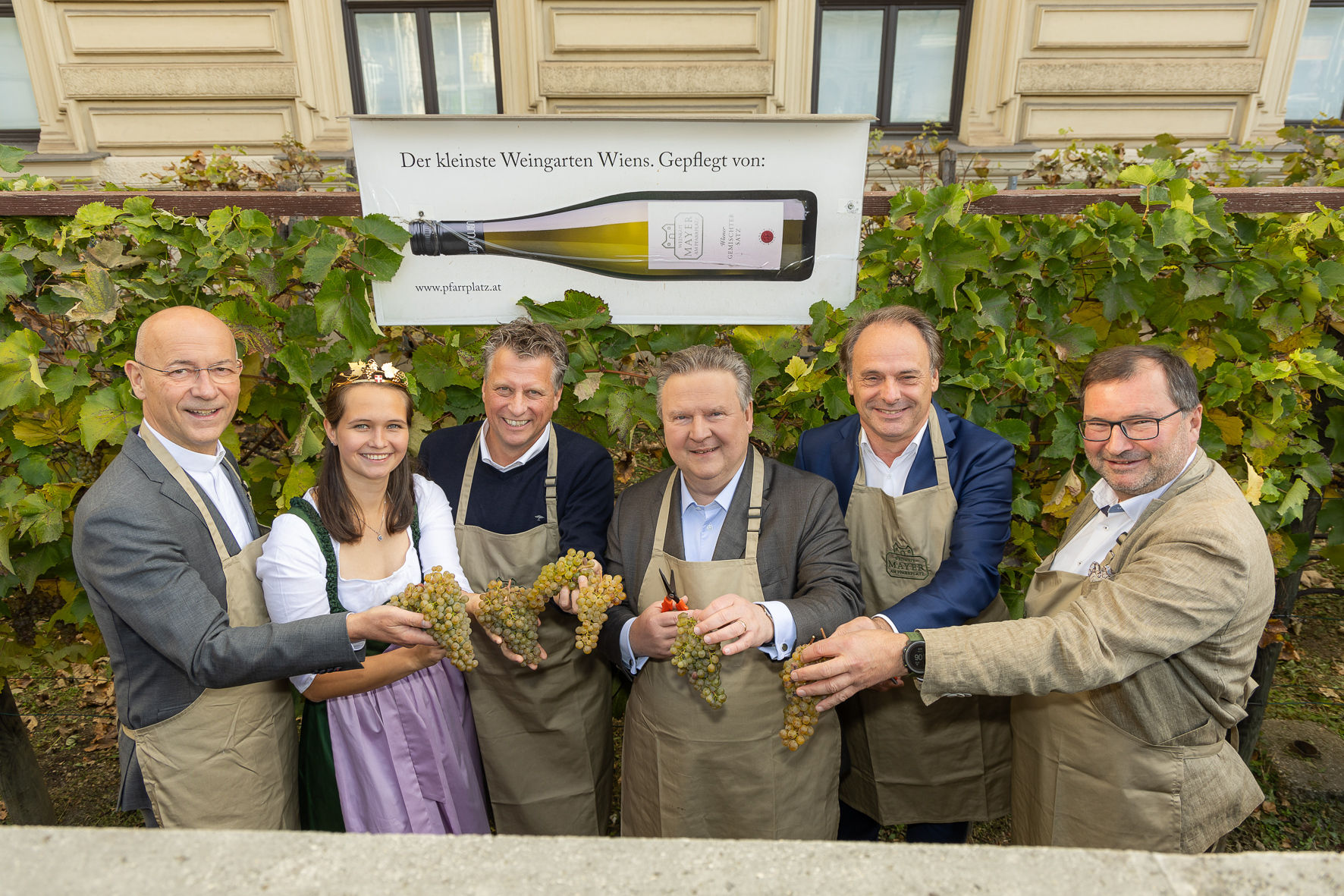 Weinlese am Schwarzenbergplatz .jpg © Harald Klemm/LK Wien