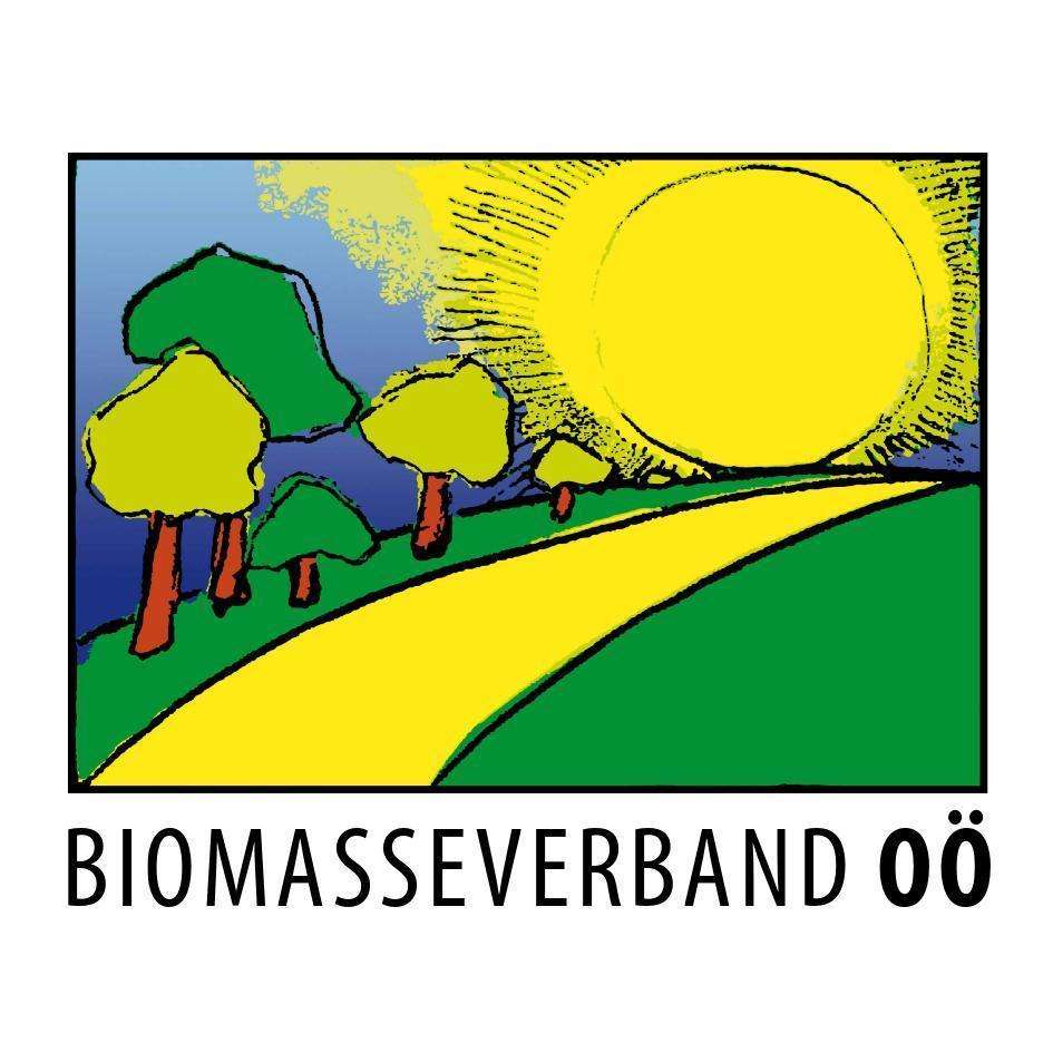 Biomasseverband Vektorgrafik 2018 (002).jpg © Archiv