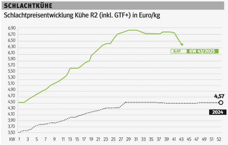 Schlachtkuhgrafik KW 43.png © Grafik RZV