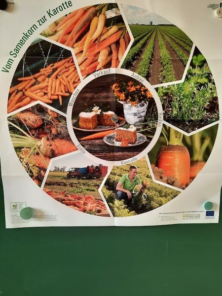 Schulaktionstag in Seebenstein ©&nbsp;Die Bäuerinnen im Bezirk Neunkirchen