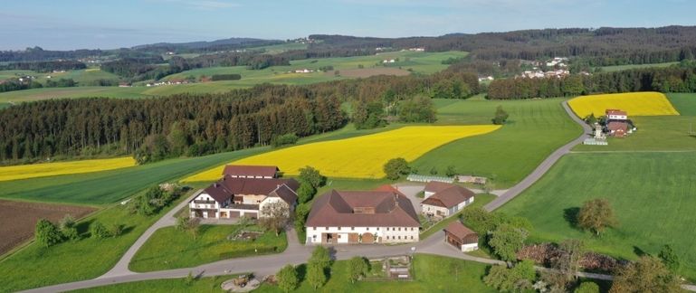 Landschaft _Raps_kl © Landwirtschaftskammer OÖ Landschaft _Raps_kl © Landwirtschaftskammer OÖ