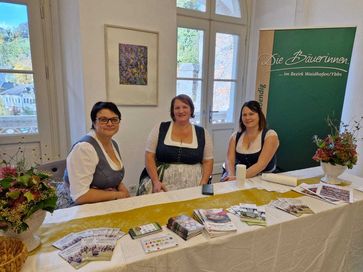 [1761573379448264.jpg]