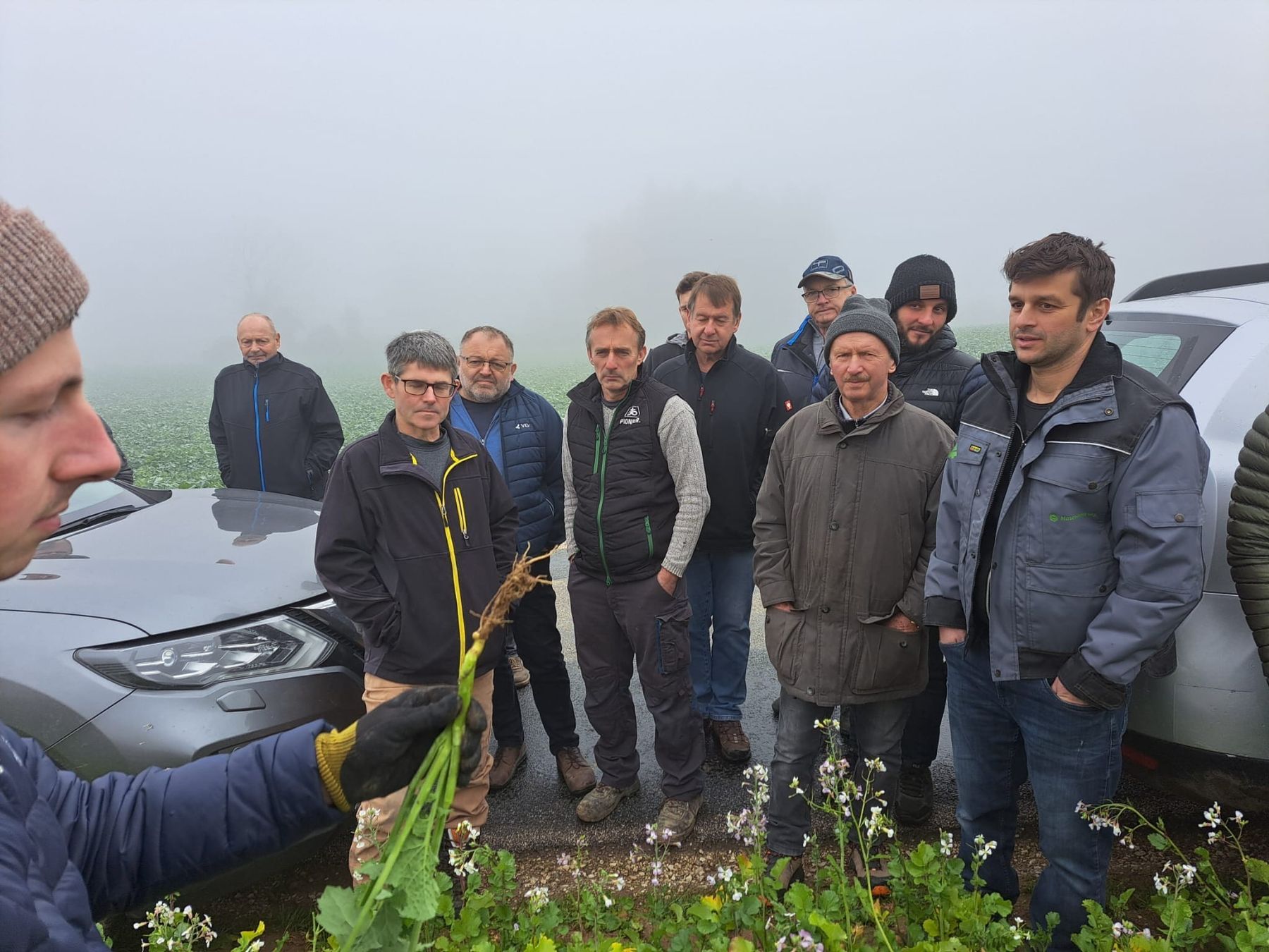 Eindrücke von der interessanten Feldbegehung in Vorchdorf mit Jakob Angerer und Christoph Ömer. Raps, Wintergerste, Zwischenfrüchte und Feldfuttter wurden besichtigt. Vielen Dank für die interessanten Diskussionen! © BWSB