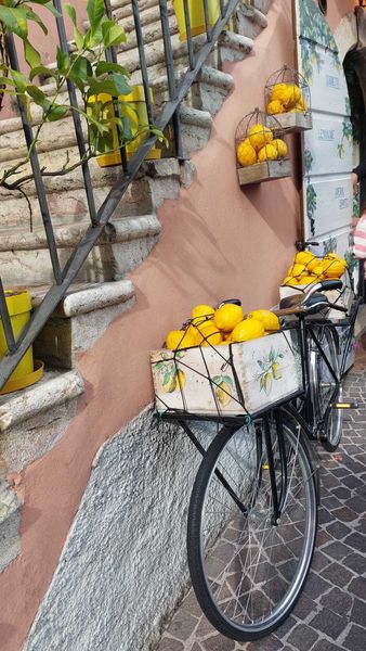 Traubenfest Südtirol ©&nbsp;Die Bäuerinnen im Gebiet Weitra