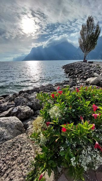 Traubenfest Südtirol ©&nbsp;Die Bäuerinnen im Gebiet Weitra