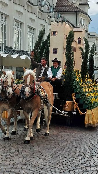 Traubenfest Südtirol ©&nbsp;Die Bäuerinnen im Gebiet Weitra