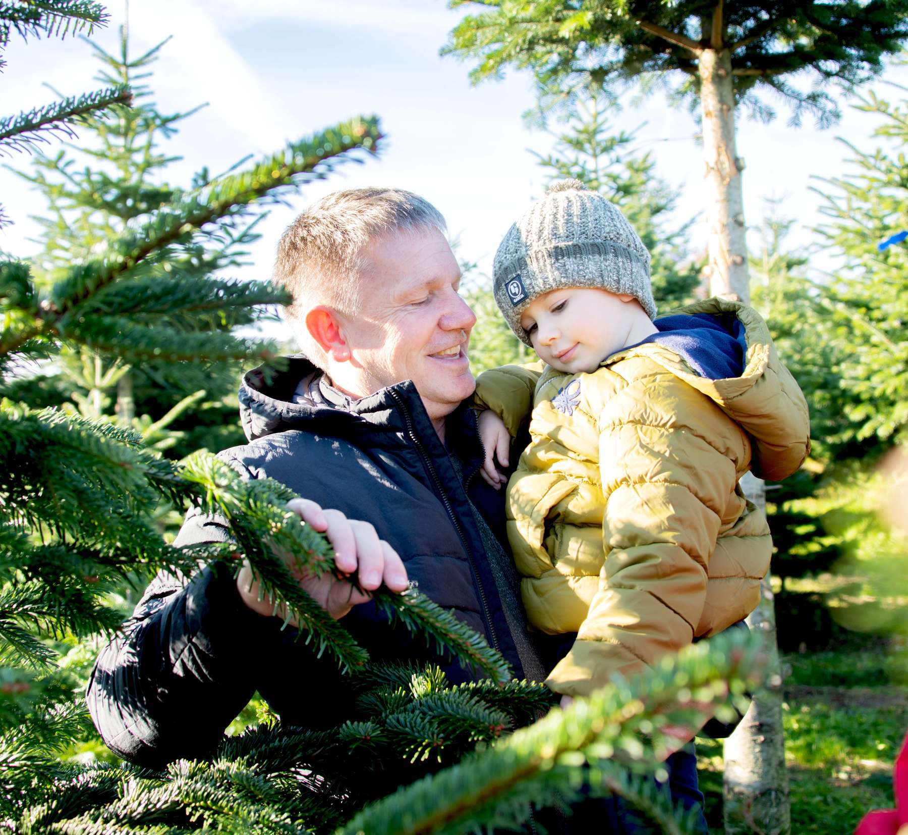 Christbaum © Eva Lechner/die lechnerei