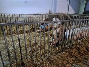 [1762631656674876.jpg]