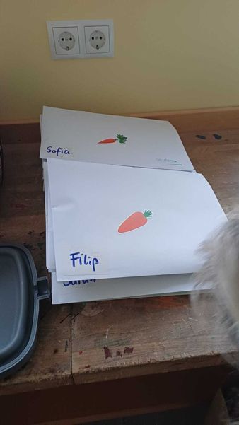 Schulaktionstag VS Leopoldsdorf ©&nbsp;Caroline Zatschkowitsch