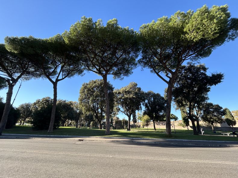 Bettina Trapl (243).jpg