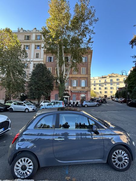 Bettina Trapl (248).jpg